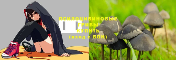 героин Алексин