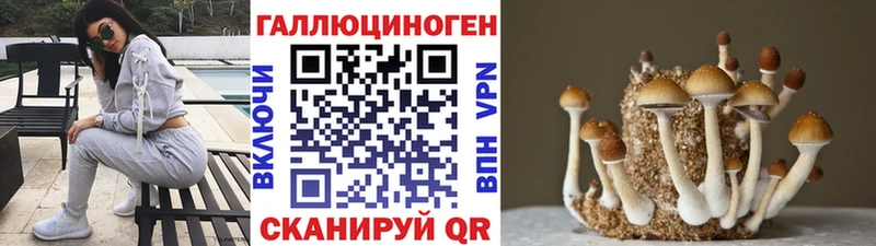 Галлюциногенные грибы прущие грибы  ссылка на мегу ССЫЛКА  Белорецк  где продают наркотики 