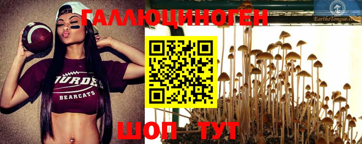 Галлюциногенные грибы GOLDEN TEACHER  Вход с VPN  что такое   Белорецк 