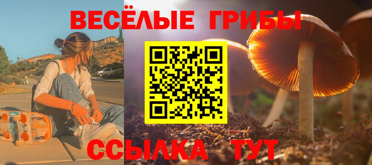 Галлюциногенные грибы ЛСД Белорецк